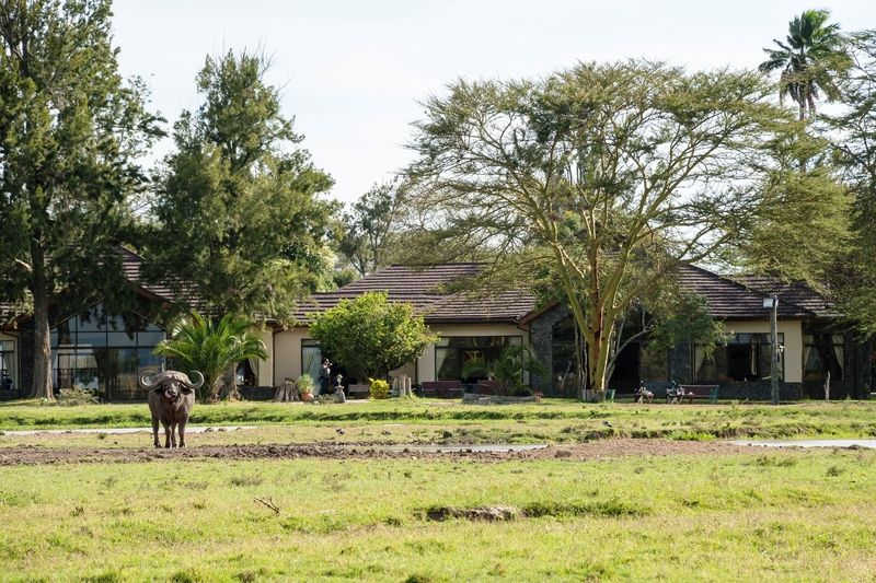 Sweetwaters Serena Camp Nanyuki Exterior photo